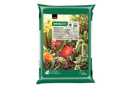 Compo Sana Terreau cactus & succulentes. - Boutique en ligne