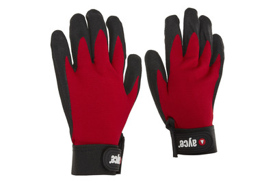 ayce Sèche-gants BHA11 Acheter chez JUMBO