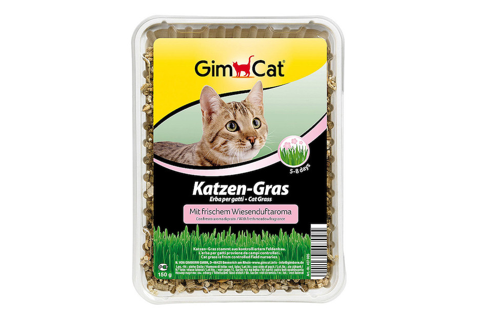 GimCat Herbe à chat Senteur des prés 150 g