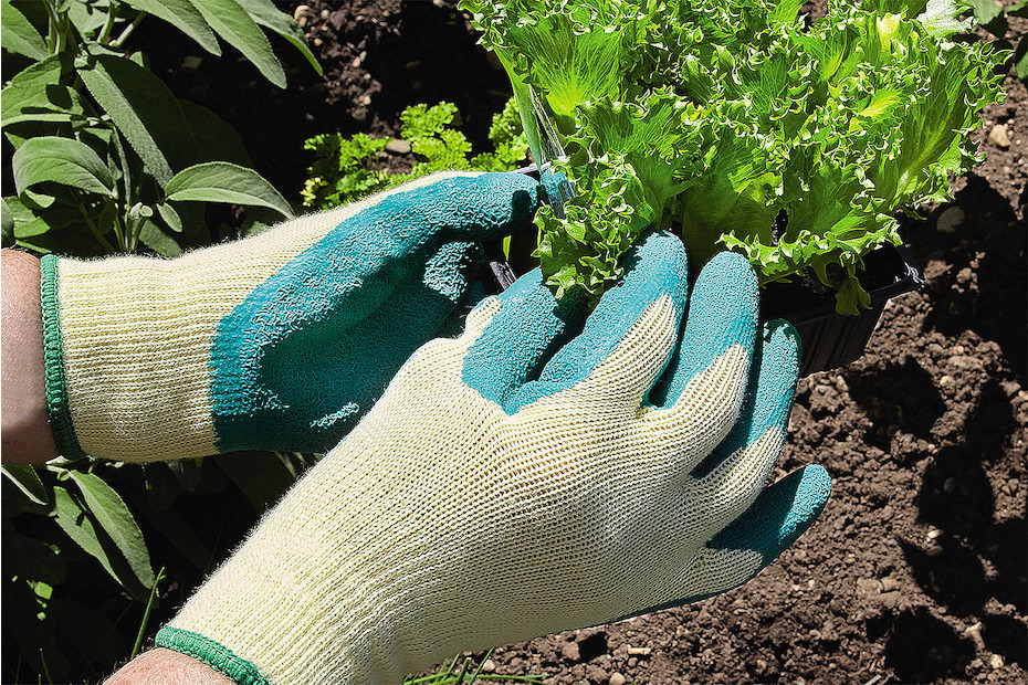 Guanti da giardinaggio JUBA Verde Per bambini 4 Anni Lattice