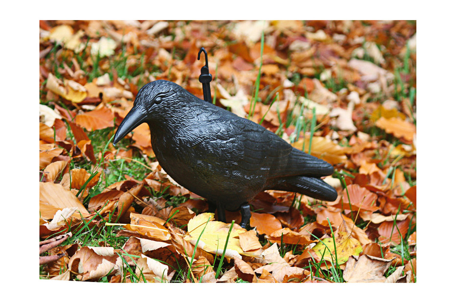 Dissuasion pour pigeons Rabe  40 × 14 × 12 cm Acheter chez JUMBO