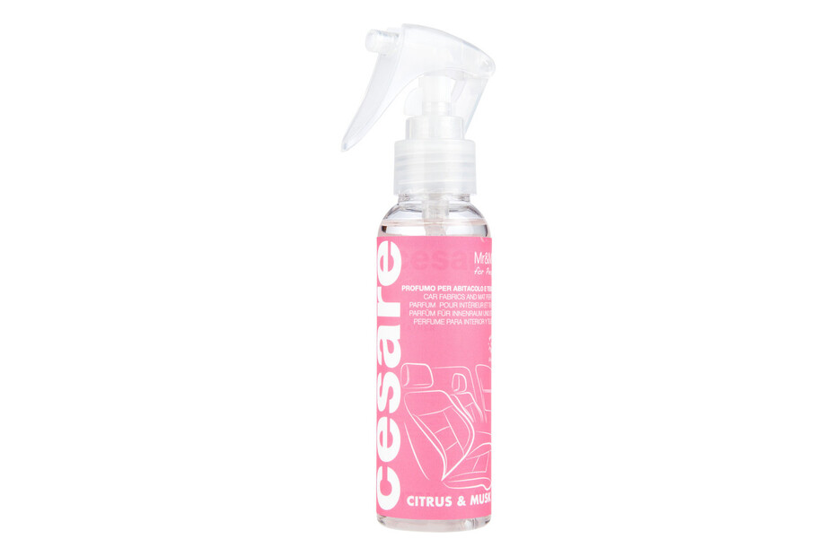 DEODORANTE PER AMBIENTI INVERNO ml 100