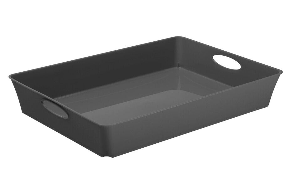 Rotho Scatola di immagazzinaggio LIVING Tray C4 acquistare da JUMBO